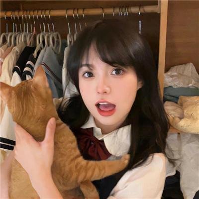南方来信